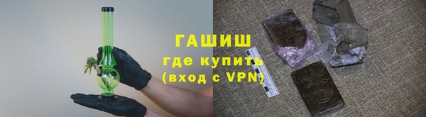 хмурый Белокуриха
