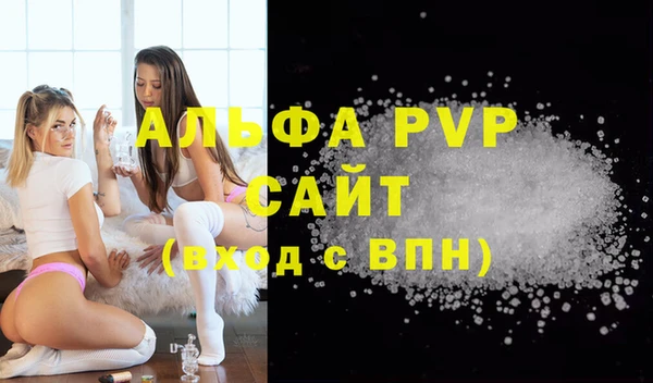 хмурый Белокуриха